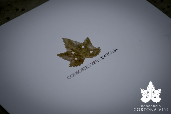Cortona e Syrah 2017 